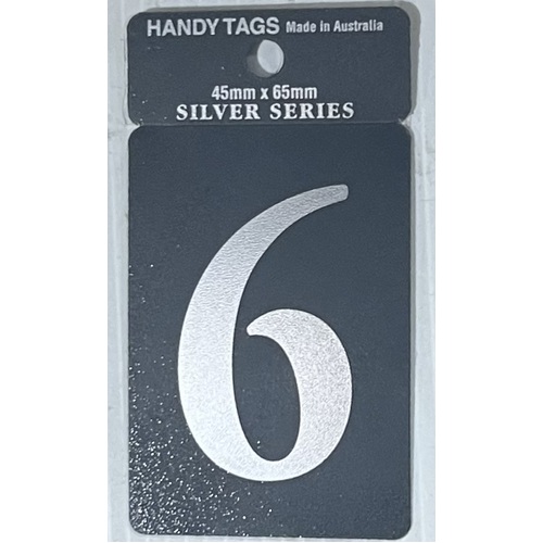 Self Adh Silver 45x65 Numeral - 6  (5)